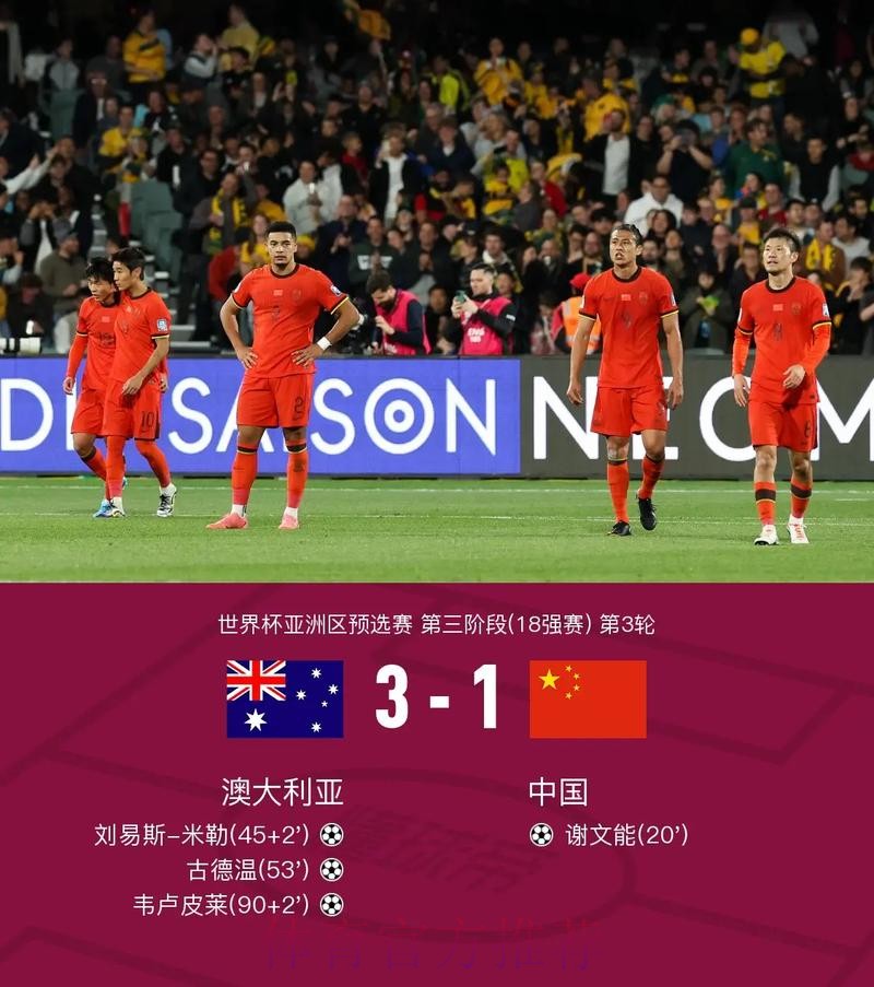世界杯比分网站入口地址